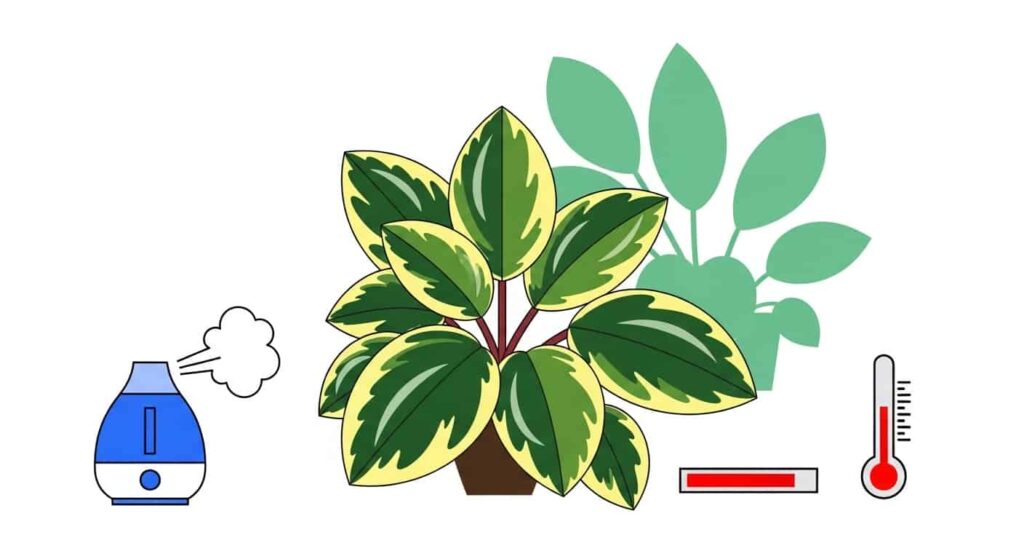 4. Temperature and Humidity