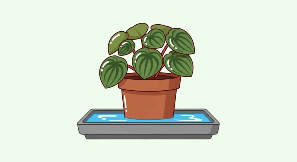 Creating a Pebble Tray