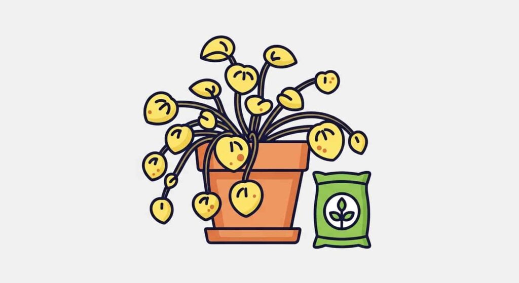 Nutrient Deficiency - When Your Plant Needs Food