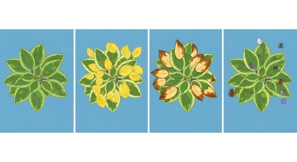 7. Troubleshooting Common Issues