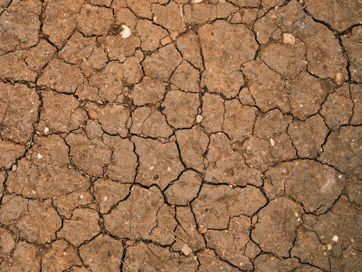 Overhead view of cracked dry earth symbolizing environmental drought