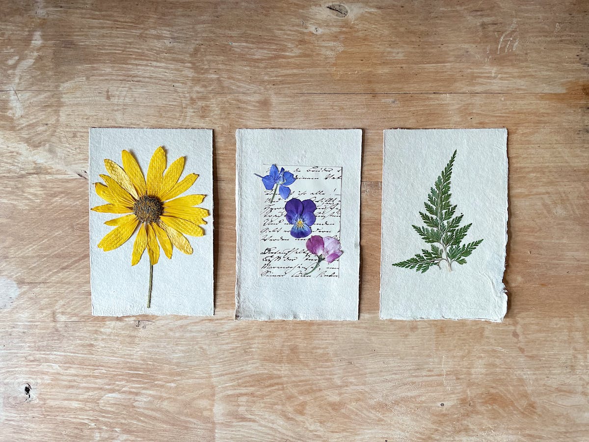 Artistic botanical prints with pressed flowers and leaves on rustic paper