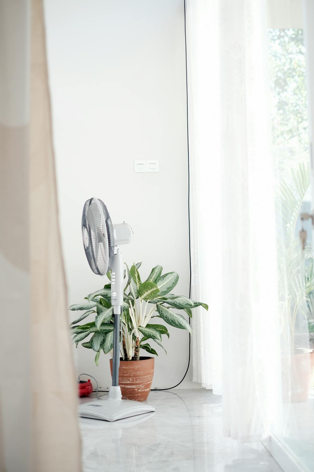 A modern minimalist interior featuring a standing fan and a potted plant near a window to improve airflow.