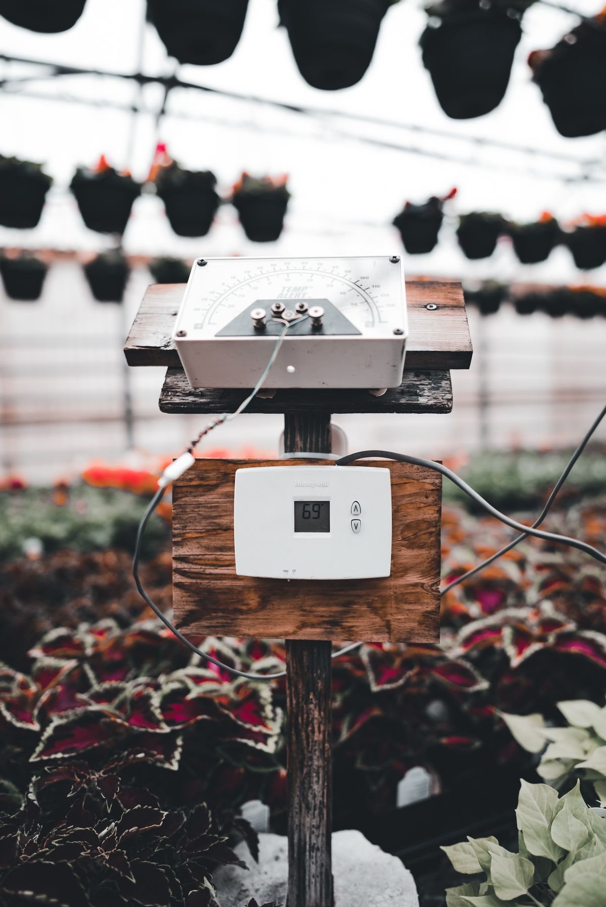 Climate controller and gauges mounted in a greenhouse among potted plants