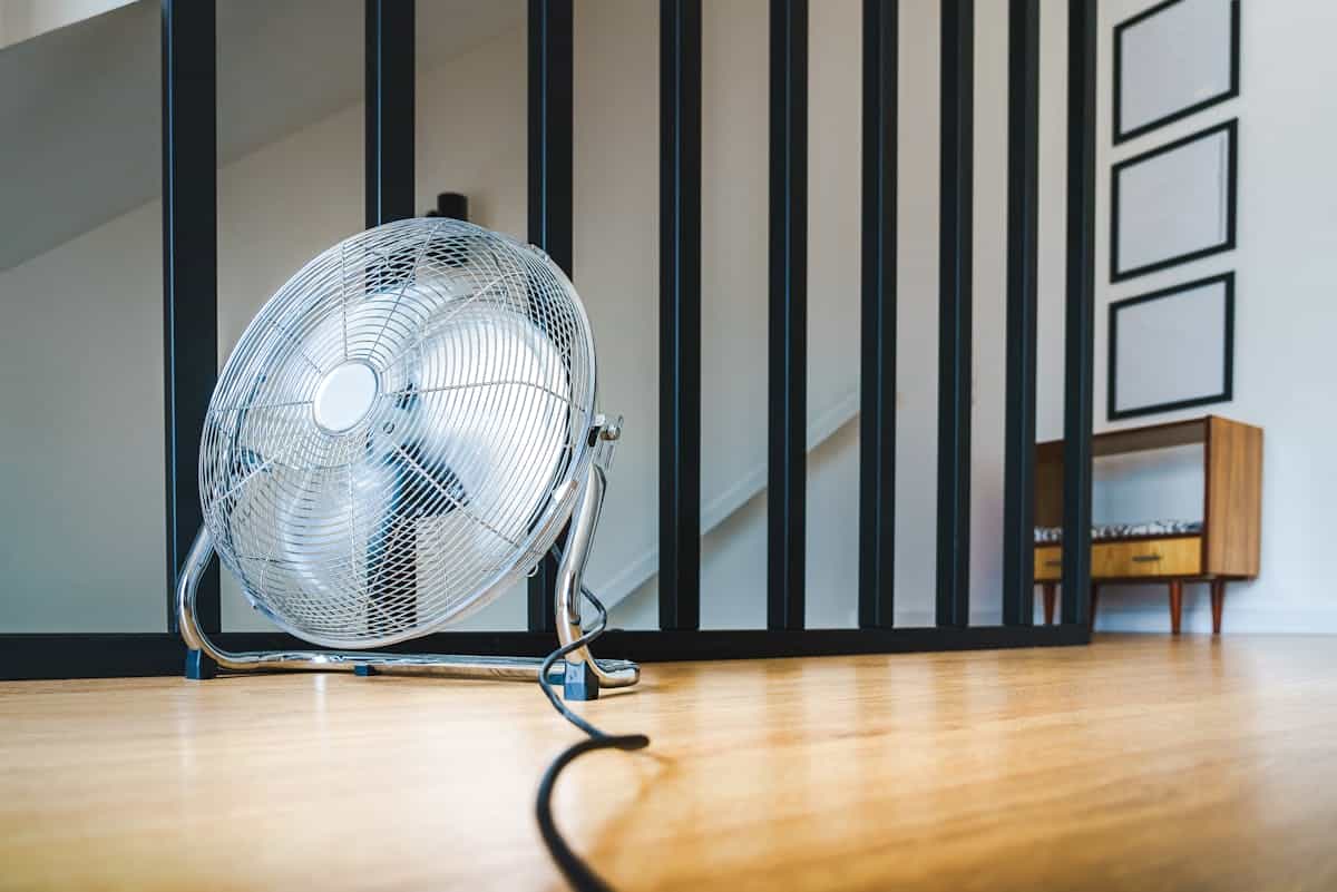 A small electric oscillating fan placed in a room — the corrective intervention for transpiration-limited calcium delivery