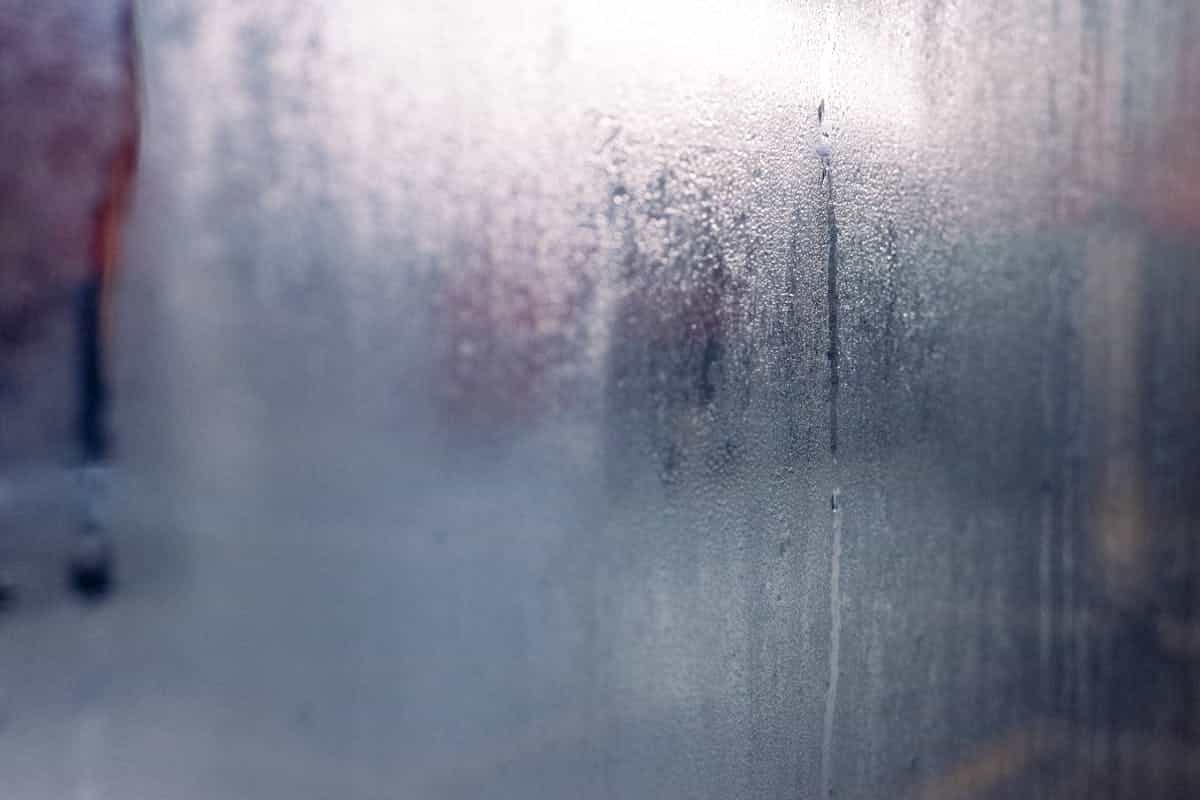 Moisture and condensation on a cold window pane — the configuration that drops leaf-surface temperature below 10°C and ruptures cells into dark patches
