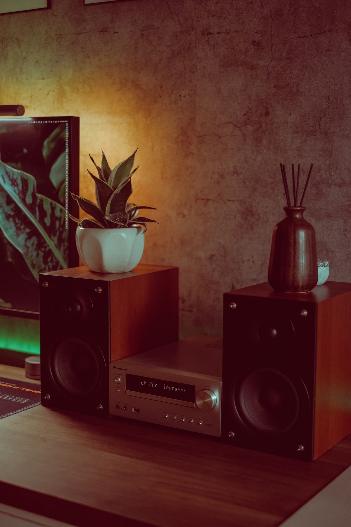 Does Music Help Peperomia Grow? Vibration Science Explained