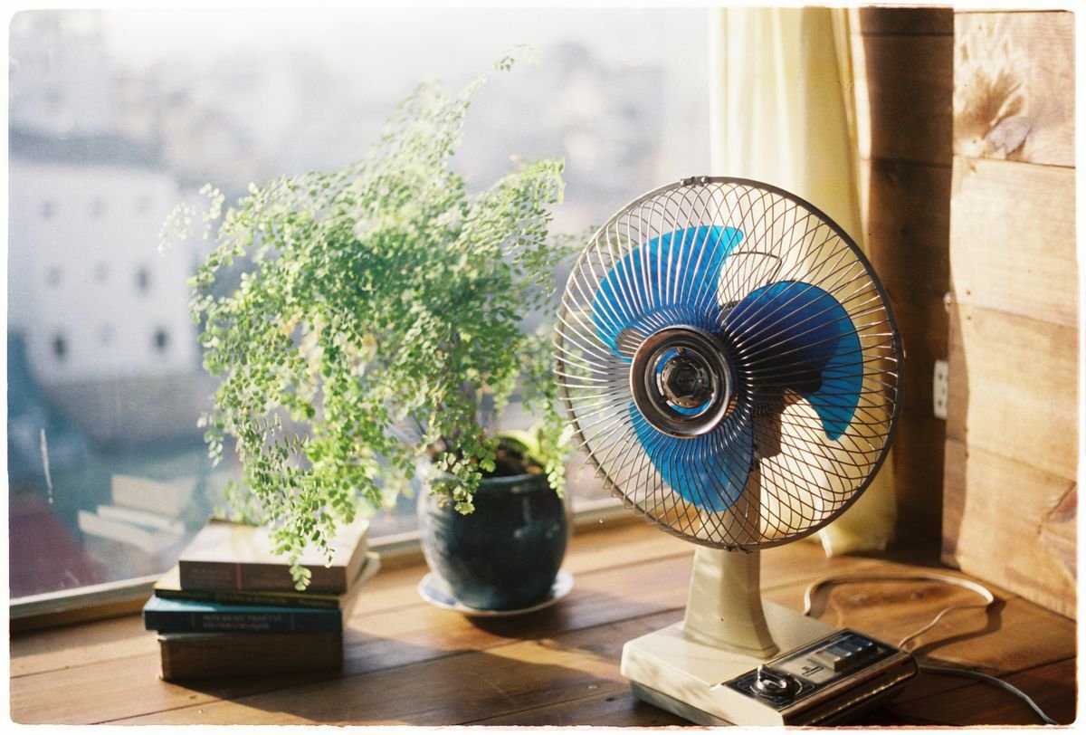 Sunlit indoor corner with a fan and a potted plant — airflow restores the calcium transpiration stream