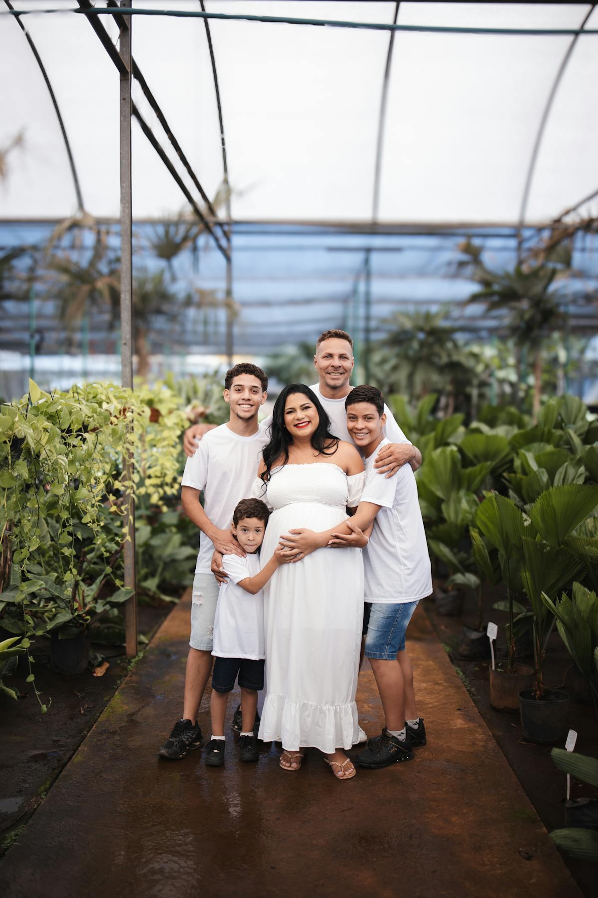 Is Peperomia obtusifolia Toxic? A Complete Safety Analysis