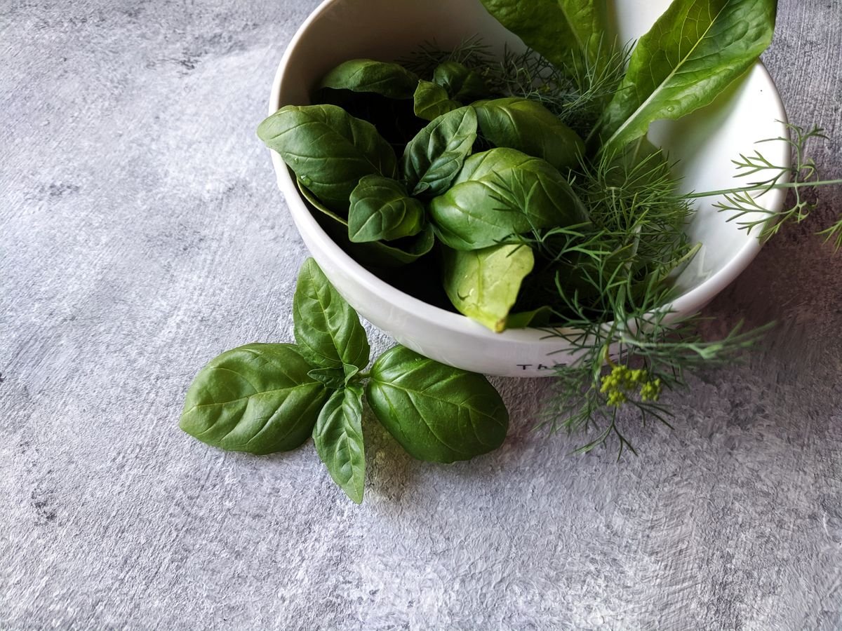 Fresh culinary herbs in a bowl — edible greens are food crops; Peperomia obtusifolia is not one of them