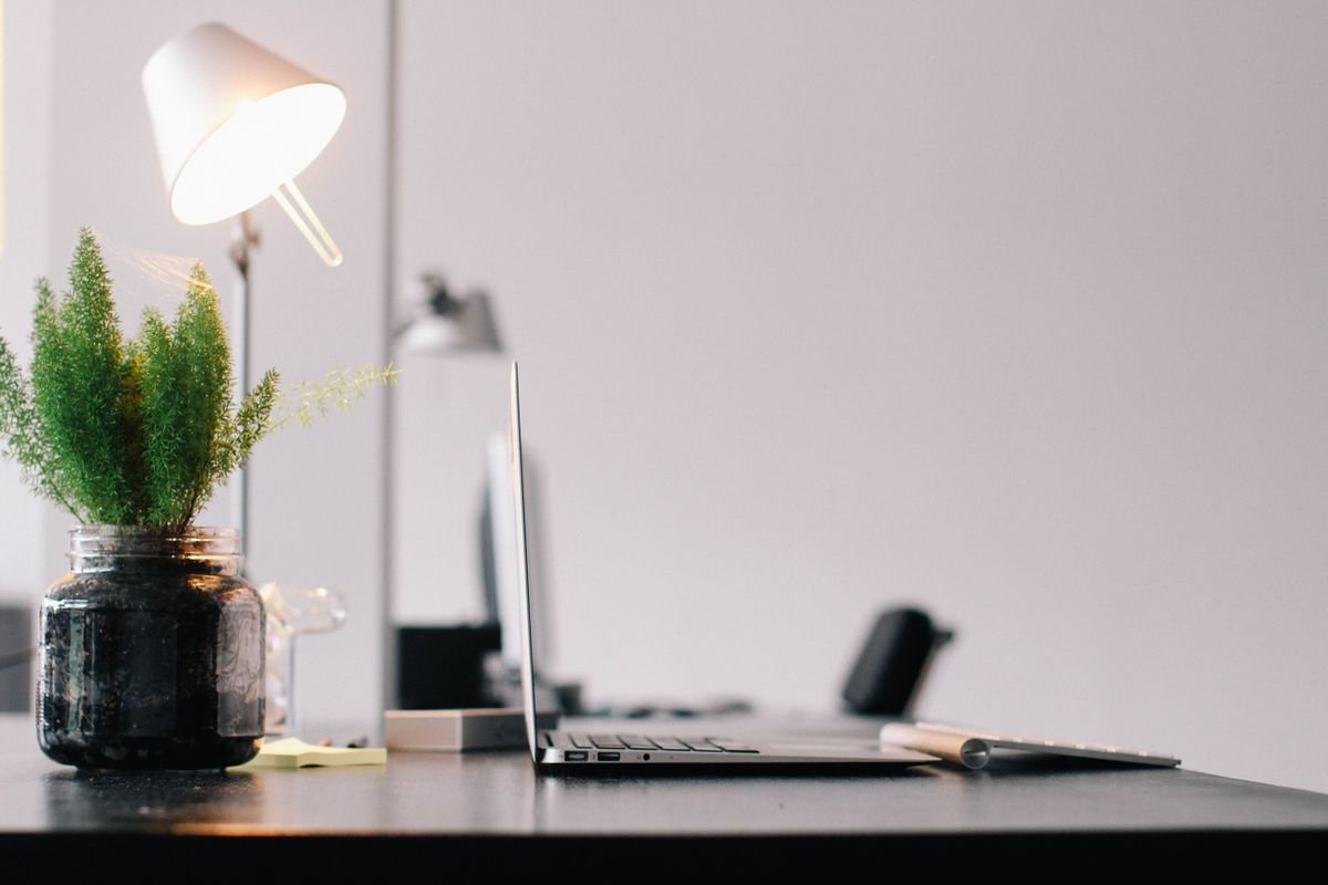 A serene indoor plant setting illustrating the calming, symbolic presence of houseplants in a modern workspace