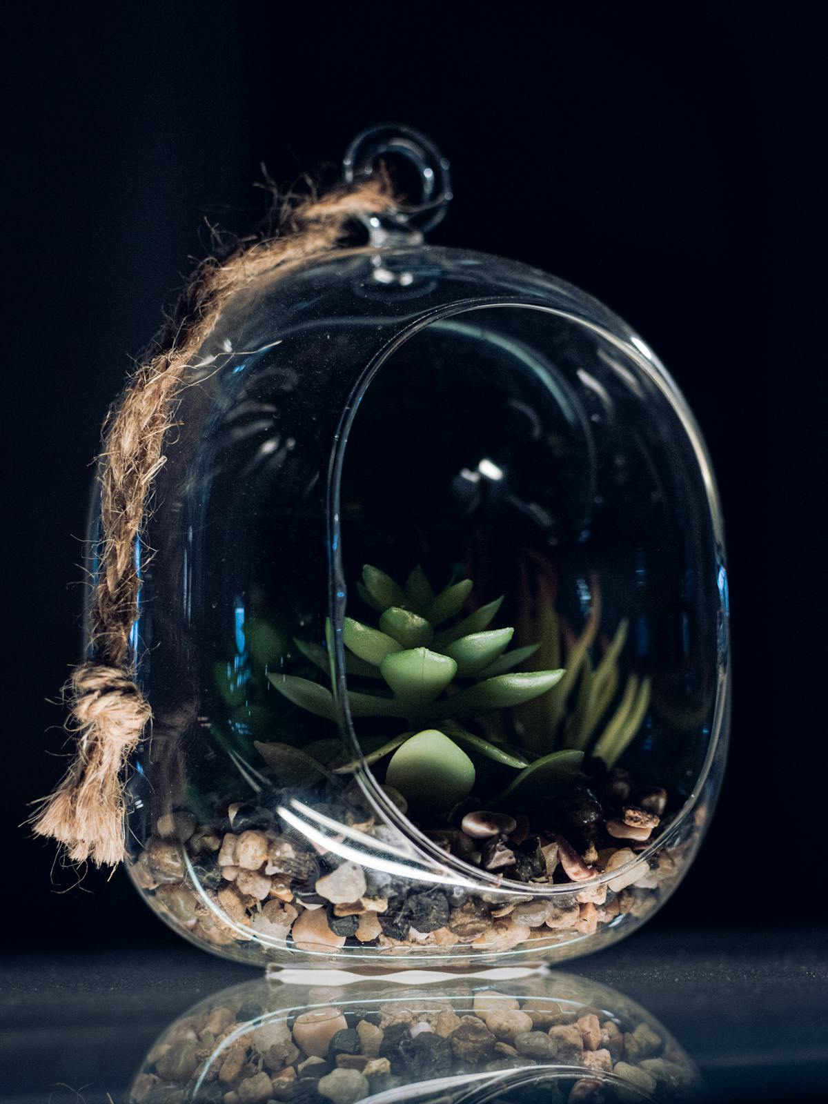 Elegant glass terrarium with a succulent and pebbles