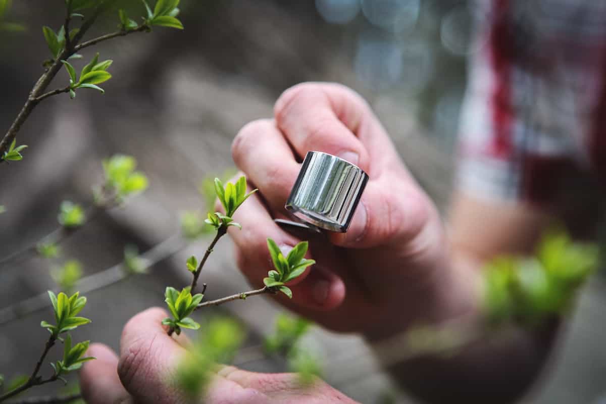 A grower using a magnifying glass to inspect the underside of a plant leaf for microscopic pests — the only reliable diagnostic for thrips and mites