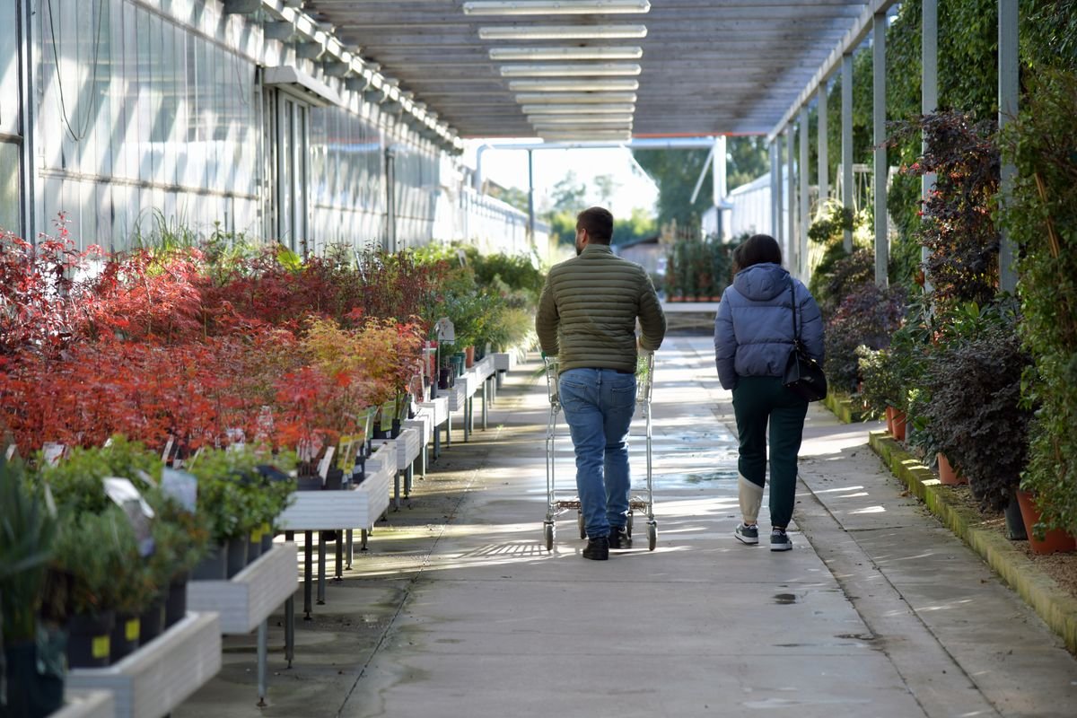 Garden-centre aisle with shoppers browsing rows of potted plants in natural light