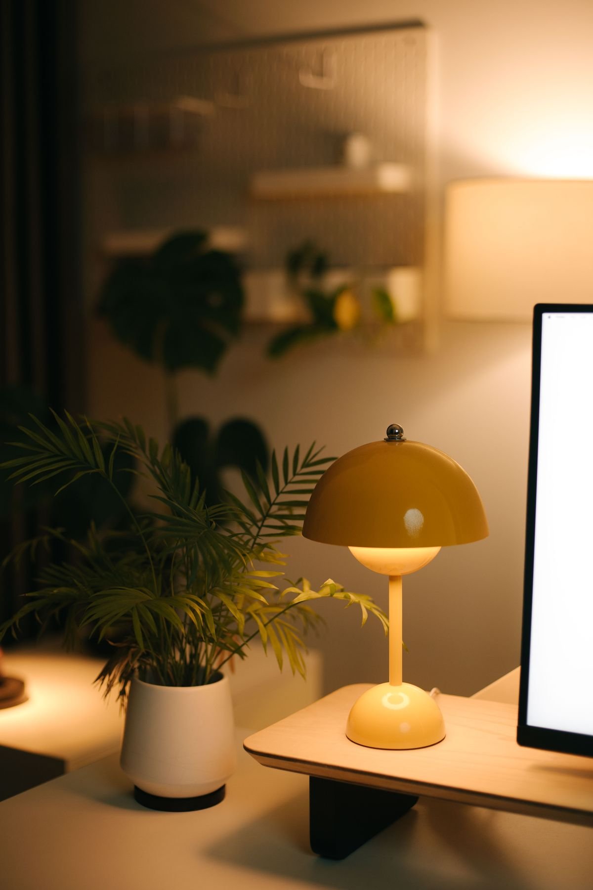 Warm ambient desk lighting with a lamp and plant, illustrating a supplemental light source close to a specimen