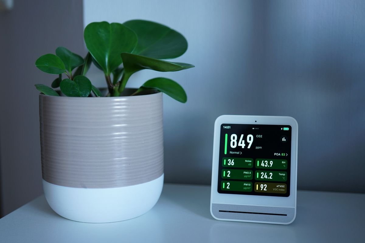 Air quality monitor beside a potted plant on a desk — measure room air; do not assume peperomia air purification