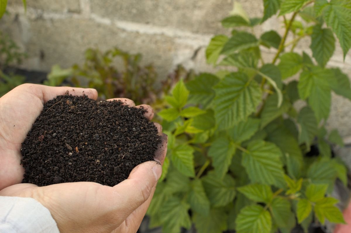 Hands holding dark compost-like organic amendment used as a soil conditioner source