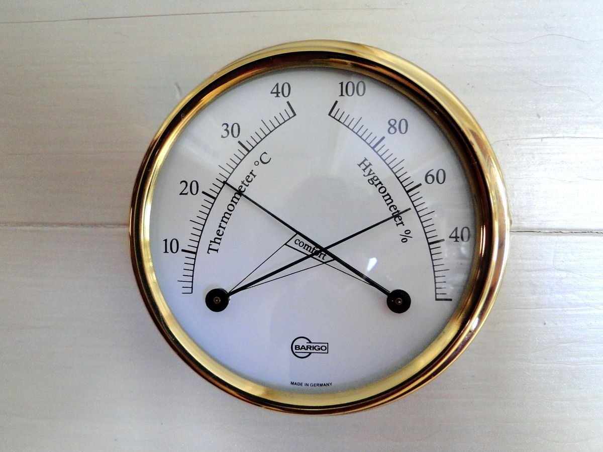 Analogue hygrometer dial showing indoor humidity and temperature beside a houseplant