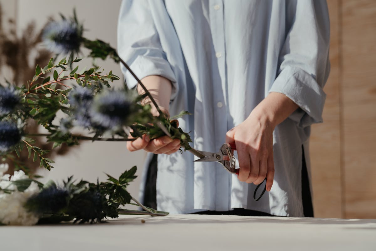 Person trimming branches indoors reflecting a calming mood