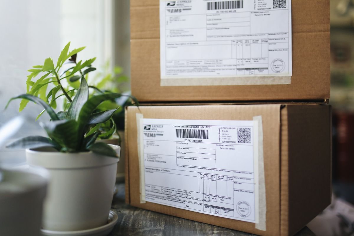 Cardboard shipping packages placed beside houseplants prepared for delivery