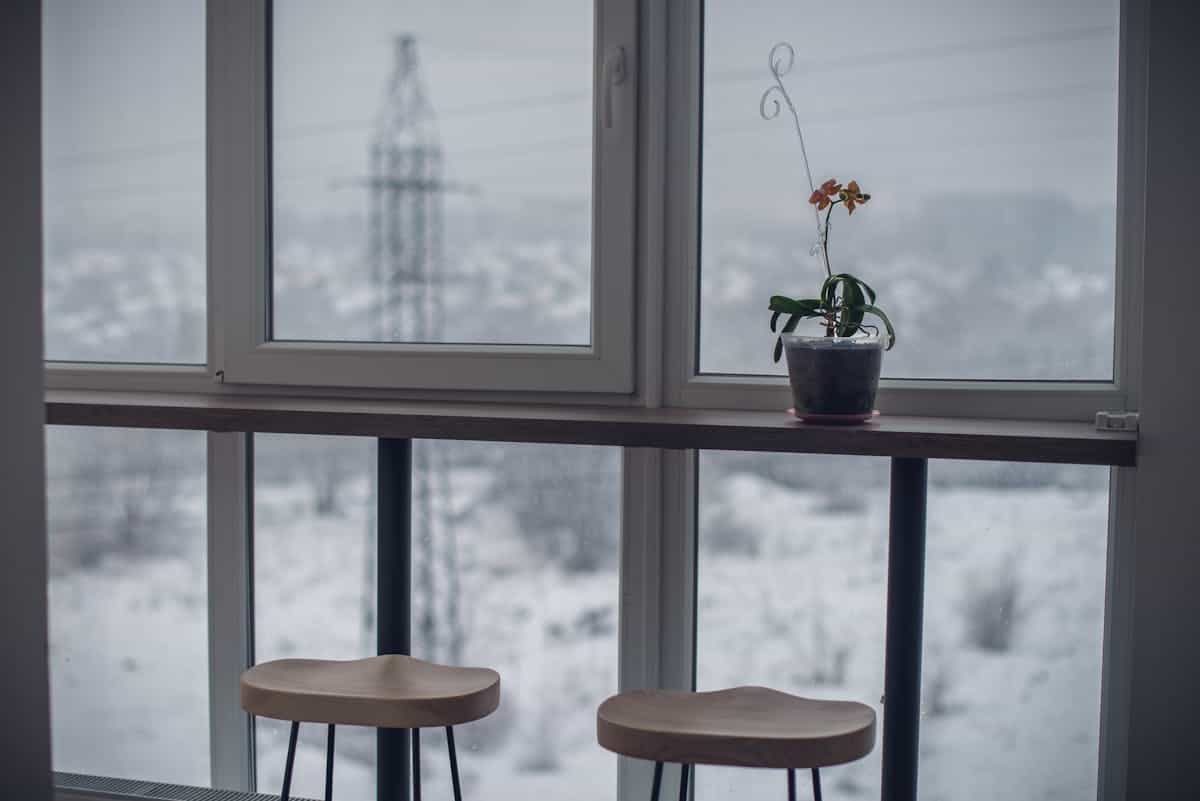 Tranquil indoor space with a houseplant by a window, overlooking a winter landscape