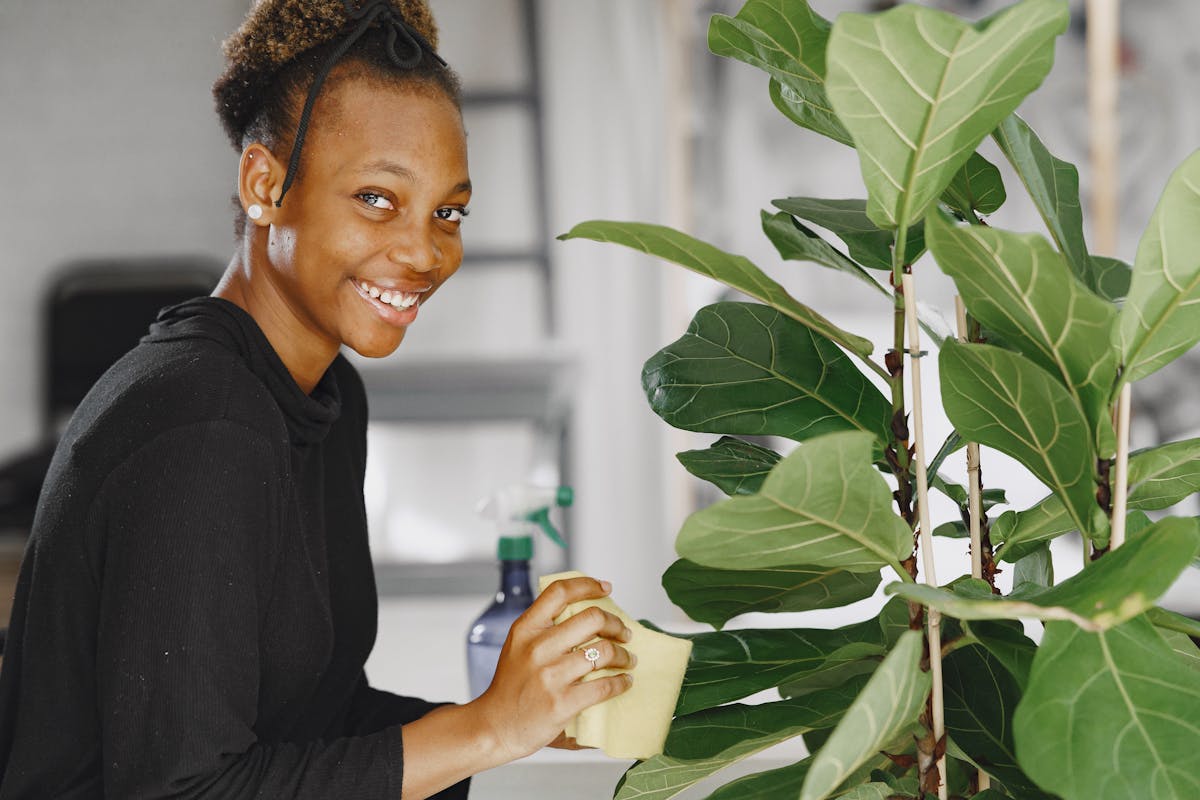 Smiling woman cleans indoor plant leaves, promoting plant care