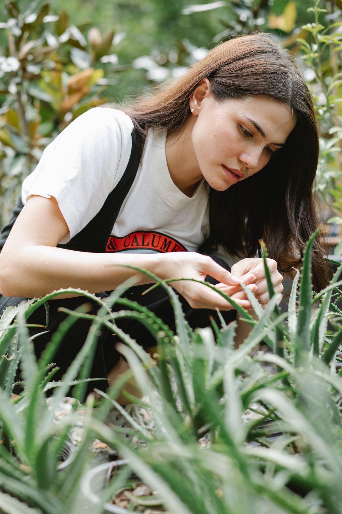 A gardener checking the underside of houseplant foliage, the inspection habit that catches whiteflies early