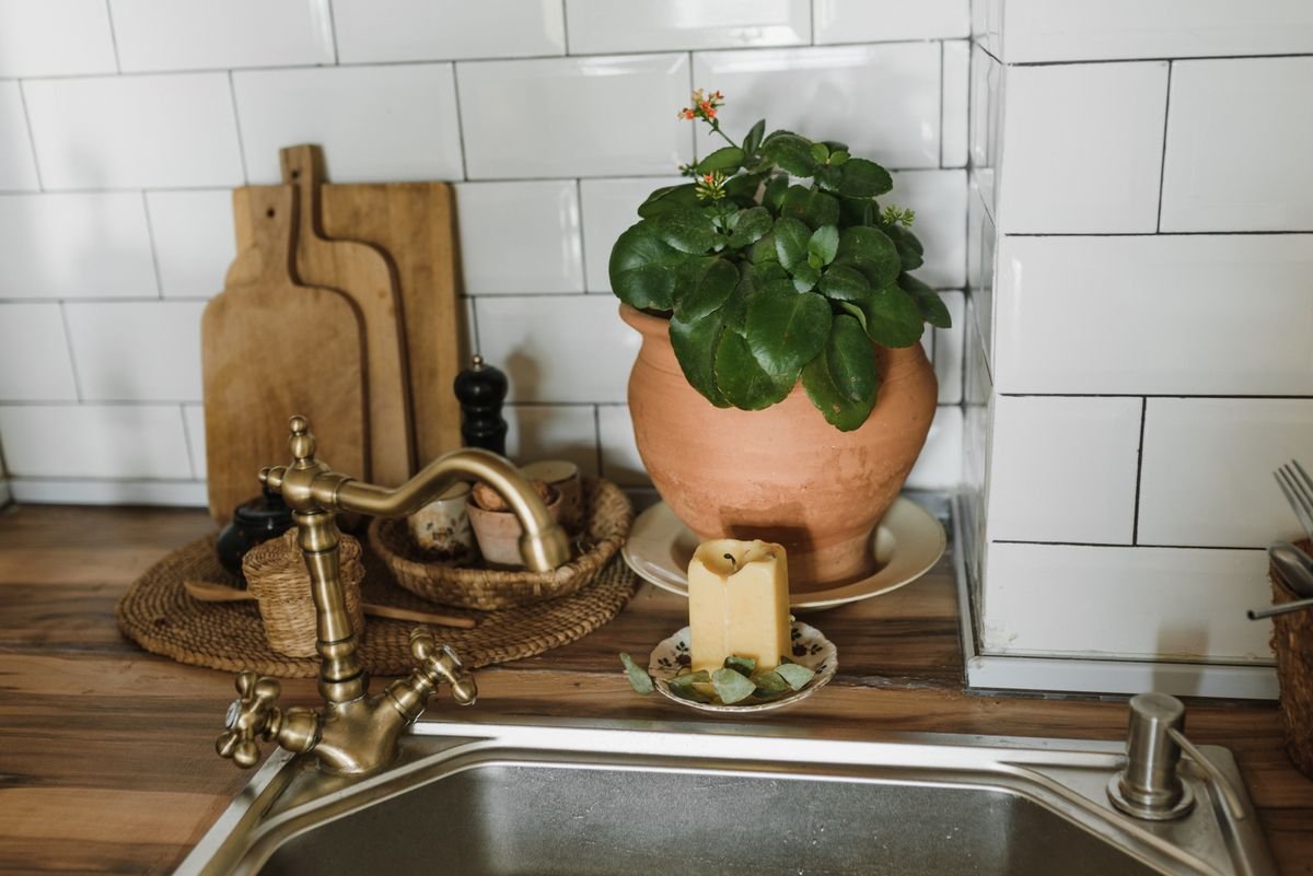 Kitchen sink with faucet and a terracotta pot with a green plant — setup for leaching salt after peperomia fertilizer burn