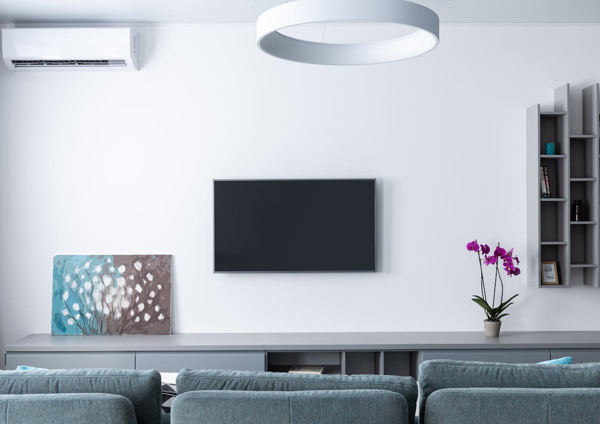 Modern interior with plants