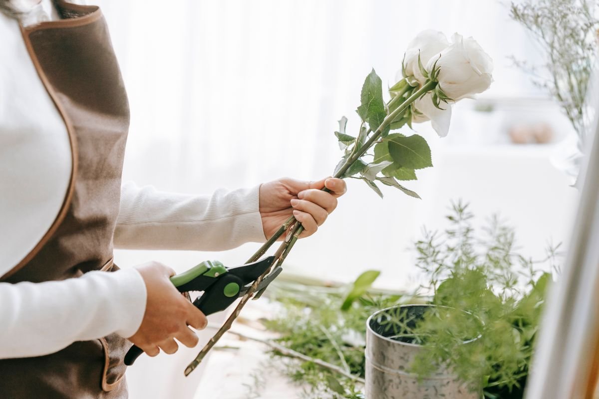 A florist's hands using secateurs to cut a green plant stem, the pruning action used to remove reverted growth