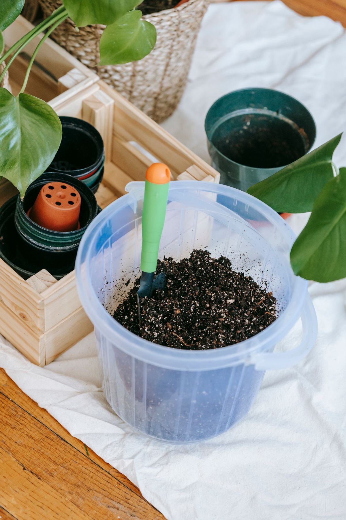 Close-up of dark, moist potting soil in a terracotta pot