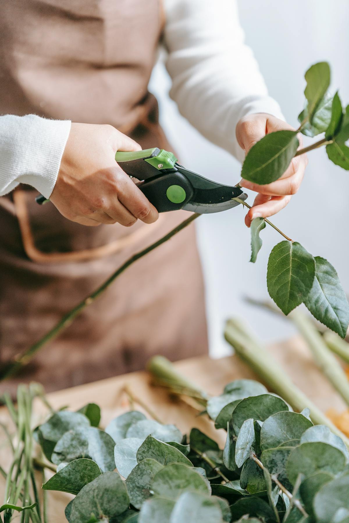 A person using sharp pruners to cut a sprig with green leaves representing pruning maintenance