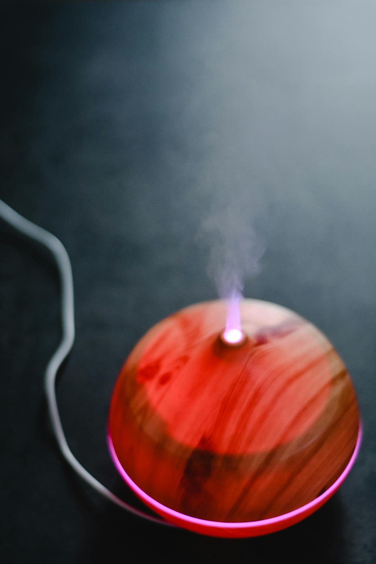 Essential Oils and Peperomia: Is Your Diffuser Harming Your Plant?