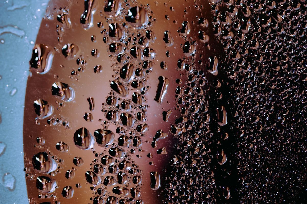 Water droplets on glass — condensation cue inside a peperomia humidity tent that needs daily venting
