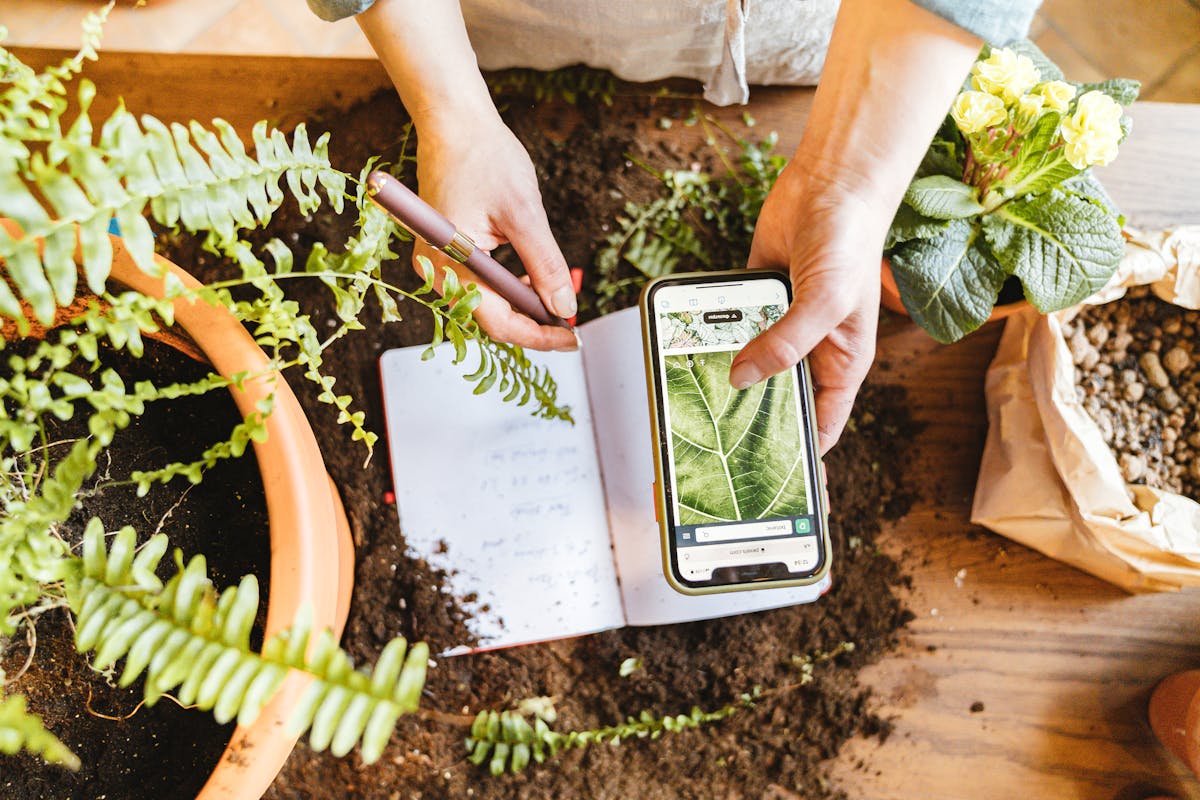 Hands documenting plant growth indoors with phone and notebook.
