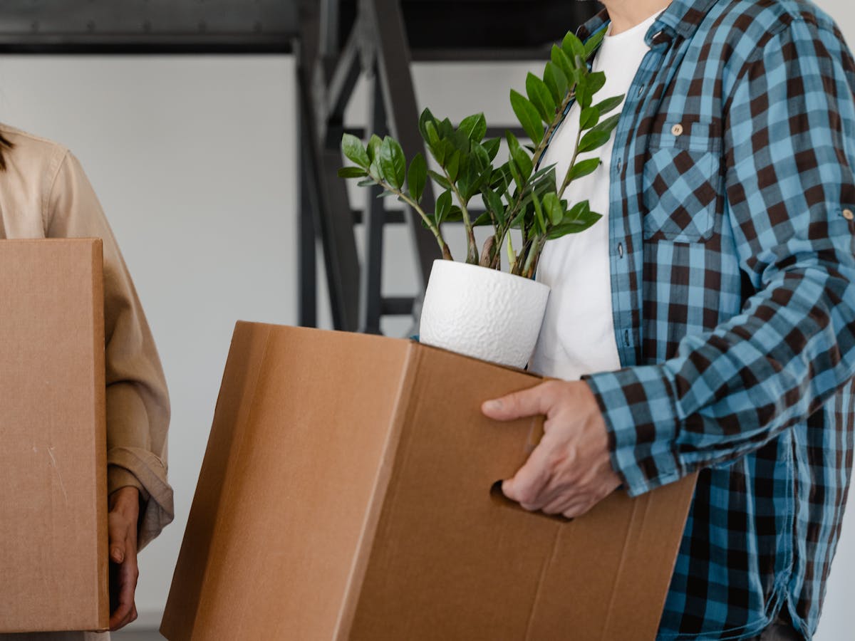 A couple carrying a potted houseplant during a move — the relocation event that triggers acclimation-driven leaf drop
