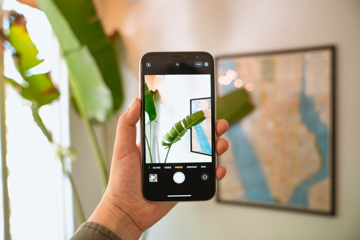 Hand holding a smartphone to measure light levels near an indoor plant leaf