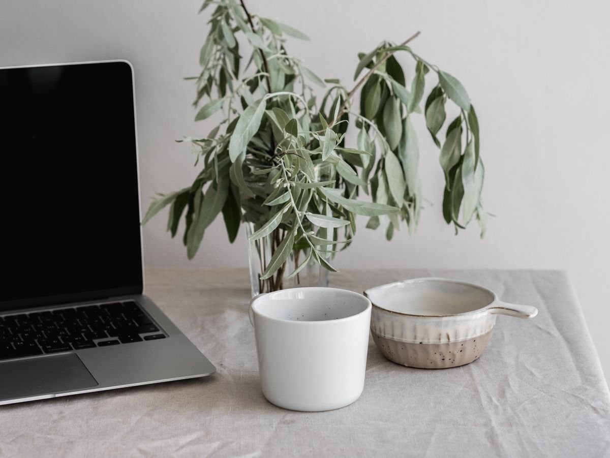 Home office desk with a rounded-leaved houseplant, an example of biophilic placement in a workspace