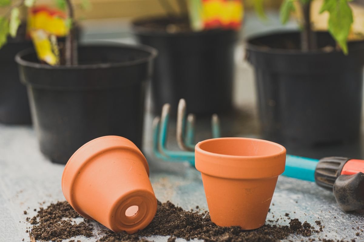 A close-up of clay terracotta pots, illustrating the porous material that affects soil aeration and moisture retention