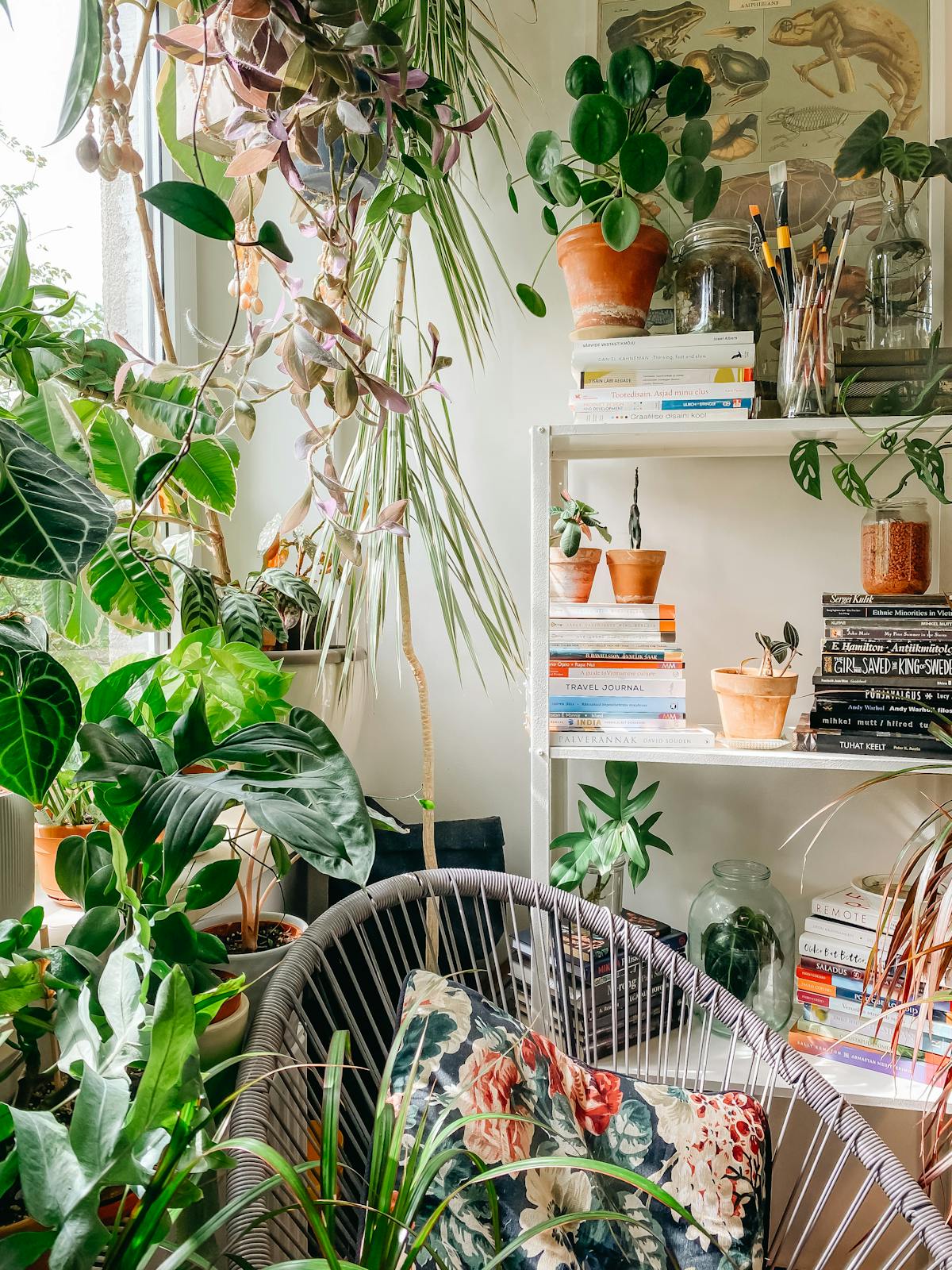 A cozy indoor corner filled with lush green plants and a stylish wicker chair, enhancing home tranquility